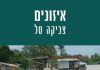 להוציא ספר לאור