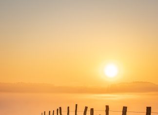 עבודות גידור