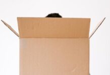 הובלת דירה כולל אריזה ופירוק